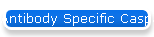 Antibody Specific Caspase 3 Detection FITC