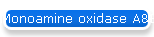 Monoamine oxidase A&B detection -
