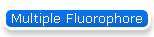 Multiple Fluorophore