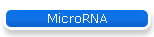 MicroRNA